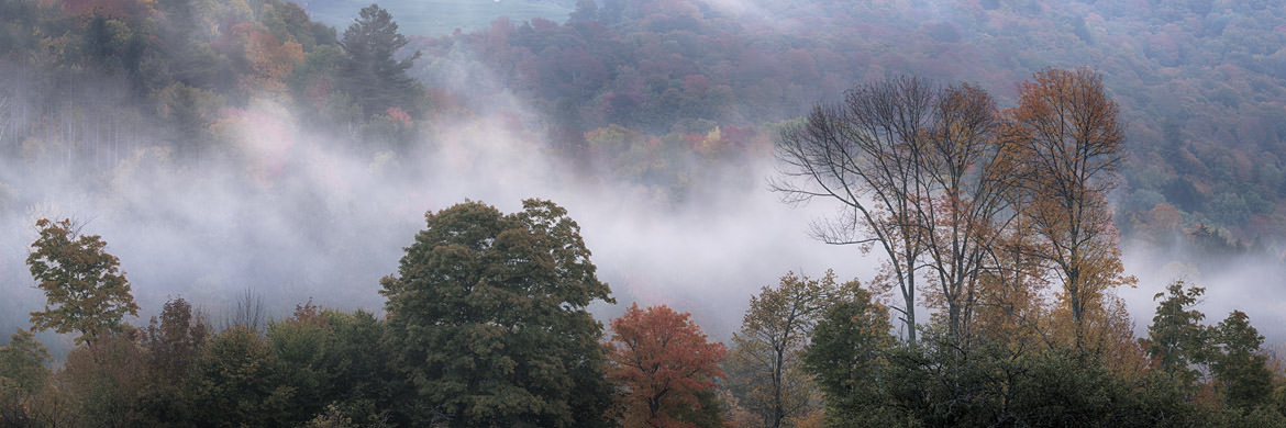 Autumn Mist 2