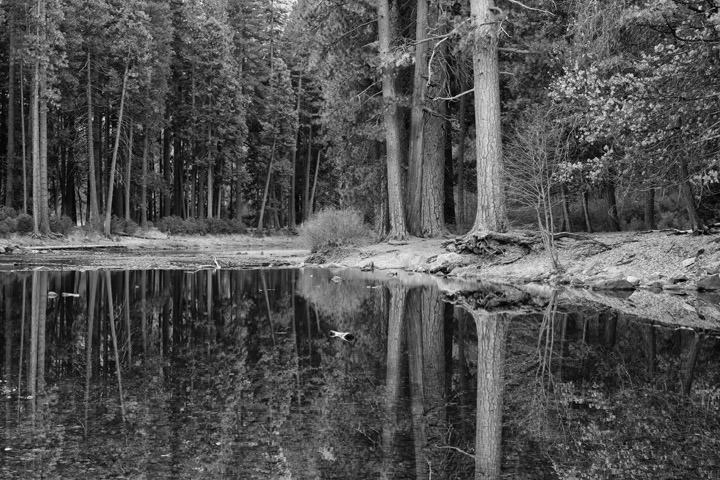 Yosemite Reflections 3